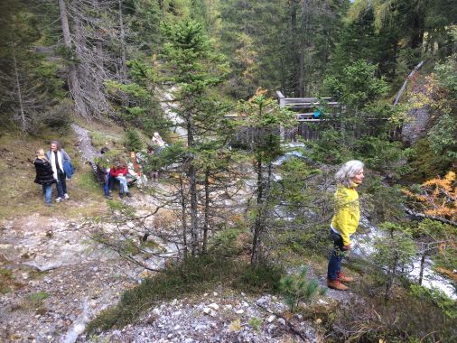 Galeriebild - Bild von  