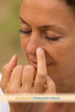 ANANDA – ganzheitliches Yoga & Meditation & Coaching