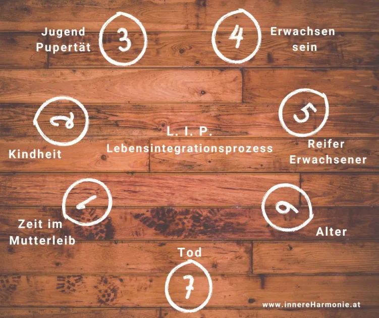 Artikelbild - Der Lebensintegrationsprozess (LIP): Heilung durch Annahme (Selbsterkenntnis & Coaching) von Andrea Linzer