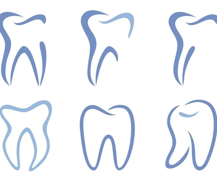 Artikelbild - Zahn Beziehungen (Körperarbeit entspannt & bewegt) von herful