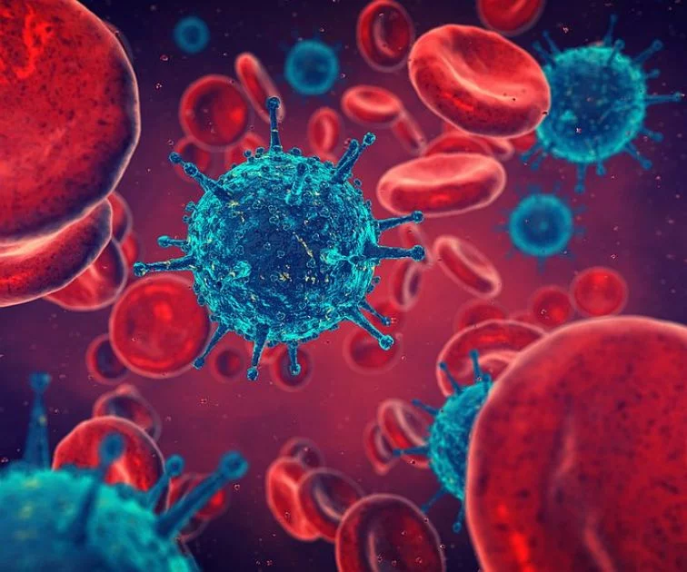 Artikelbild - Immunabwehr (Körperarbeit entspannt & bewegt) von herful