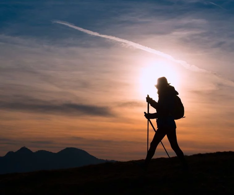 Artikelbild - Lebensreiseführer (Selbsterkenntnis & Coaching) von herful