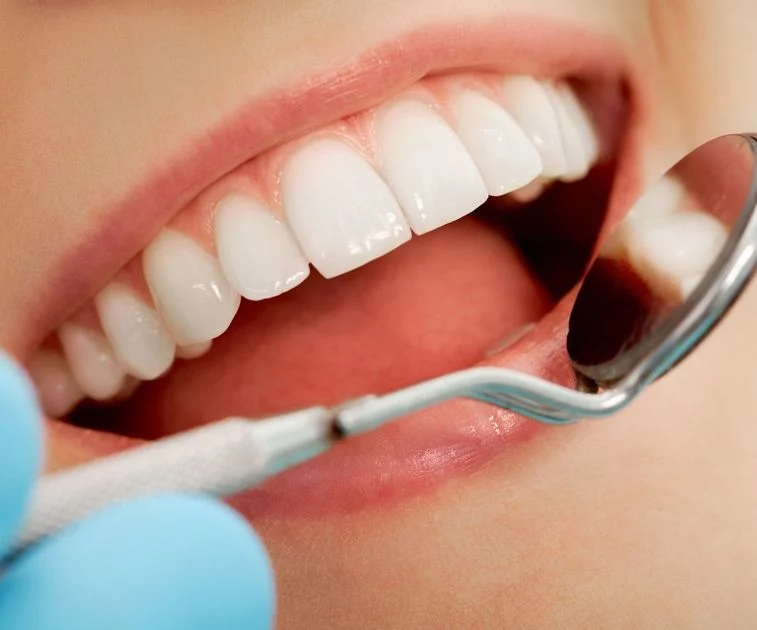 Artikelbild - Die EU kümmert sich um bessere (Traditionelle & Alternative Methoden) von Peter Schütz