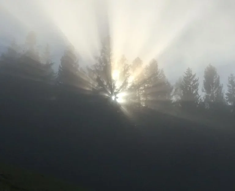 Artikelbild - Die Kraft des Frühlings – das (Traditionelle & Alternative Methoden) von Achim Eckert