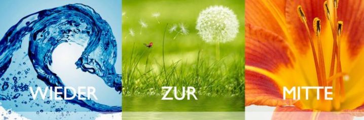 Mag. Marion Schneider