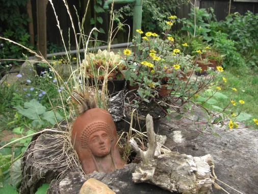 Hermine Brzobohaty-Theuer