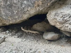 Eventbild - auswildern (Beziehungsthemen und Partnerschaft) von Jörg Eger