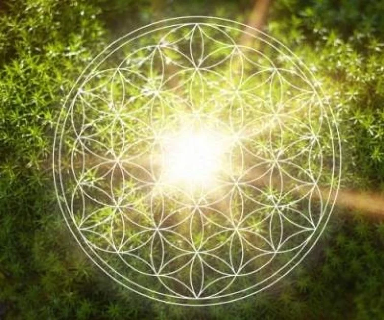 Artikelbild - Natürliche Wege zur Entzündungshemmung (Ernährung - Nahrung als Medizin) von herful