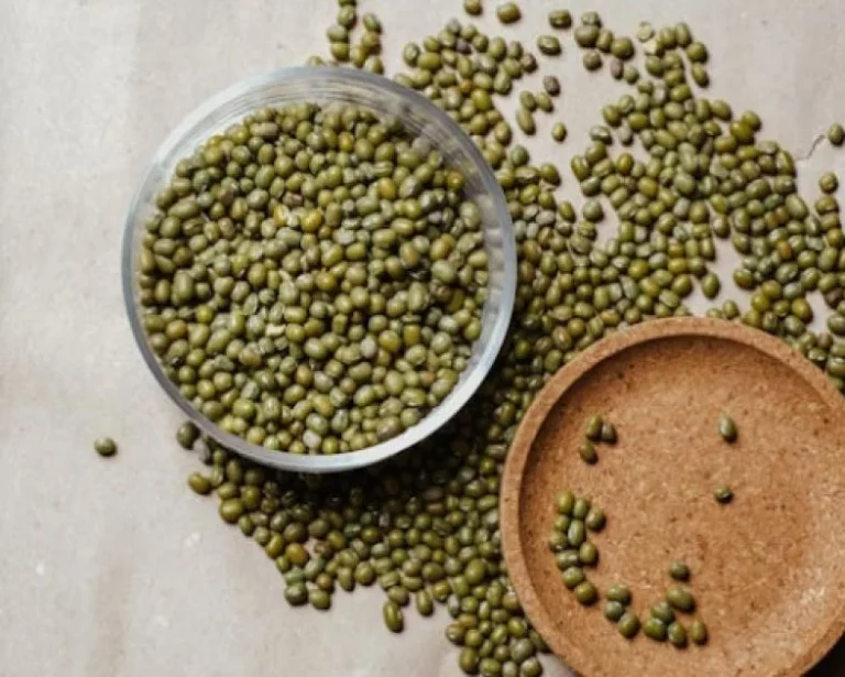 Artikelbild - Mungobohne (Ernährung - Nahrung als Medizin) von herful