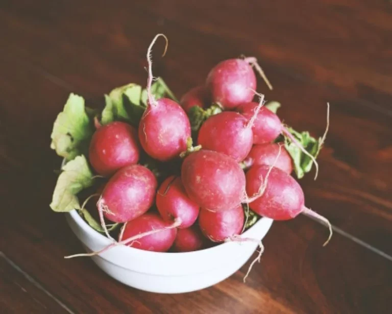 Artikelbild - Radieschen (Ernährung - Nahrung als Medizin) von herful