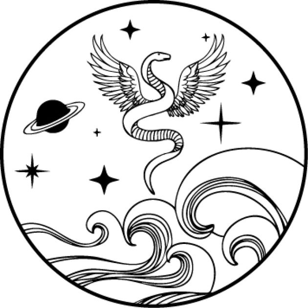 Nicholas Wachouschek