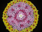 Eventbild - Ohne Brille wieder klarer sehen (Körperarbeit entspannt & bewegt) von Burgi Sedlak