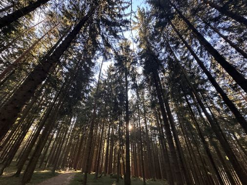 Produktbild - Bild von  