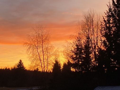 Produktbild - Bild von  